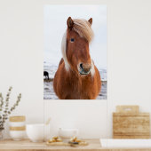 Poster Cheval islandais en hiver (Cuisine)