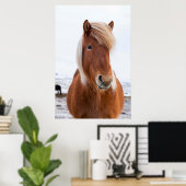 Poster Cheval islandais en hiver (Bureau à domicile)