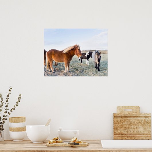 Poster Cheval islandais en hiver en Islande (Cuisine)