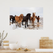 Poster Cheval islandais en hiver en Islande (Cuisine)