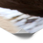 Poster Cheval islandais en hiver sur Islande 3 (Coin)