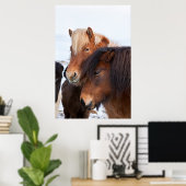 Poster Cheval islandais en hiver sur Islande 3 (Bureau à domicile)