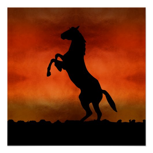 Poster Cheval Libre Au Coucher Du Soleil (Devant)