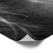 Poster Cheval magique noir et blanc (Coin)