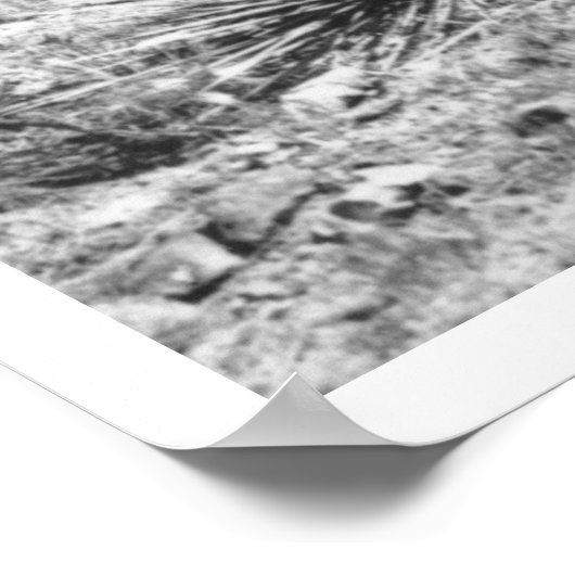 Poster Cheval mangeant du casquette d'un cowboy. (Coin)