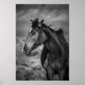 Poster cheval mère (Devant)