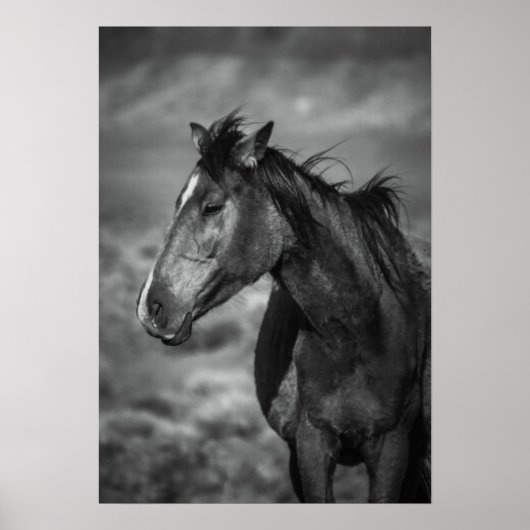 Poster cheval mère (Devant)