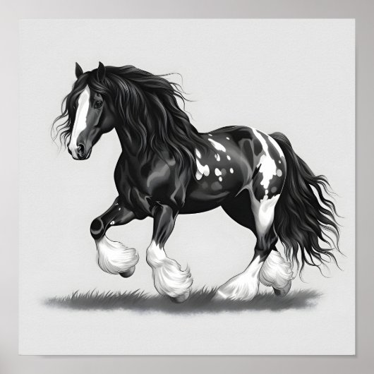 Poster Cheval monochrome Gypsy Vanner (Devant)