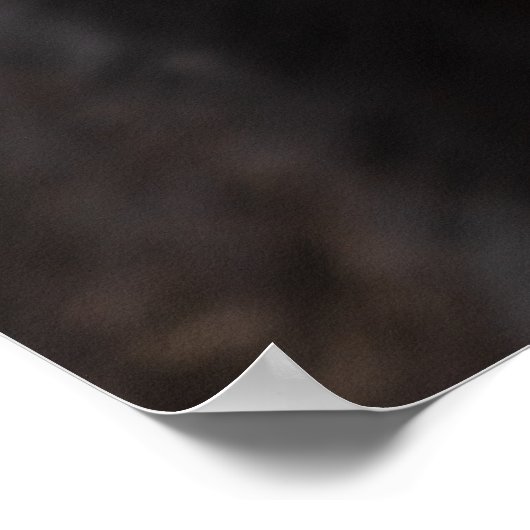 Poster Cheval Montrant Ses Dents (Coin)