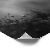 Poster Cheval Motivationnel Blanc Noir Vit Sans Limites (Coin)