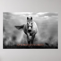 Cheval Motivationnel Blanc Noir Vit Sans Limites