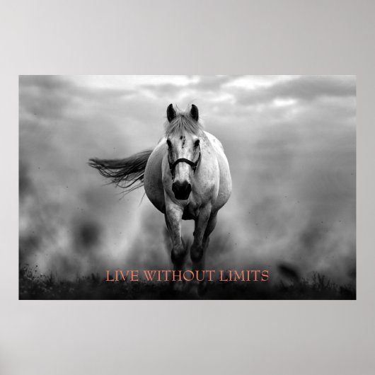 Poster Cheval Motivationnel Blanc Noir Vit Sans Limites (Devant)