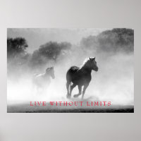 Cheval Motivationnel Blanc Noir Vit Sans Limites