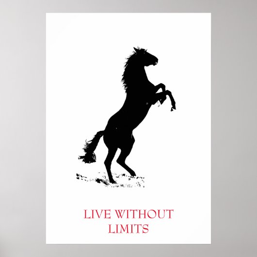 Poster Cheval Motivationnel Blanc Noir Vit Sans Limites (Devant)