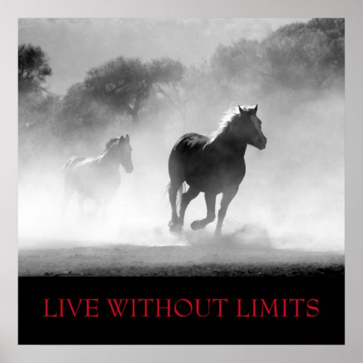 Poster Cheval Motivationnel Blanc Noir Vit Sans Limites (Devant)