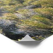 Poster Cheval Mustang sauvage dans le désert (Coin)