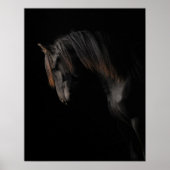 Poster Cheval noir (Devant)