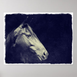 Poster Cheval noir