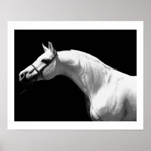 Poster Cheval Noir & Blanc (Devant)
