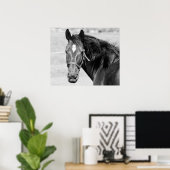 Poster Cheval Noir Blanc (Bureau à domicile)