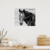 Poster Cheval Noir Blanc (Cuisine)