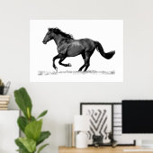 Poster Cheval Noir Blanc en Course (Bureau à domicile)