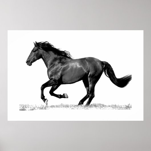 Poster Cheval Noir Blanc en Course (Devant)