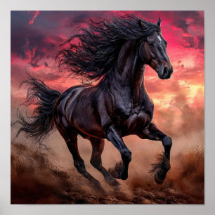 Poster Cheval Noir Ciel Rose Paysage Rêvé Esthétique