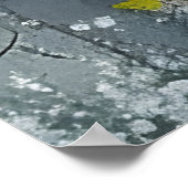 Poster Cheval noir en Fleur sauvage (Coin)