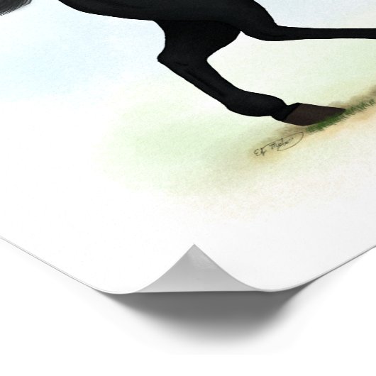 Poster Cheval noir en Trot ou équestre poney (Coin)