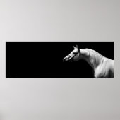 Poster Cheval noir et blanc (Devant)