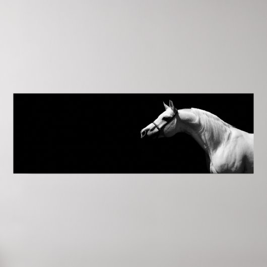 Poster Cheval noir et blanc (Devant)