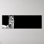 Poster Cheval noir et blanc (Devant)