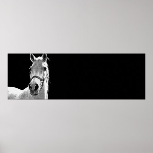 Poster Cheval noir et blanc (Devant)