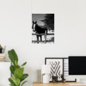 Poster Cheval noir et blanc (Bureau à domicile)