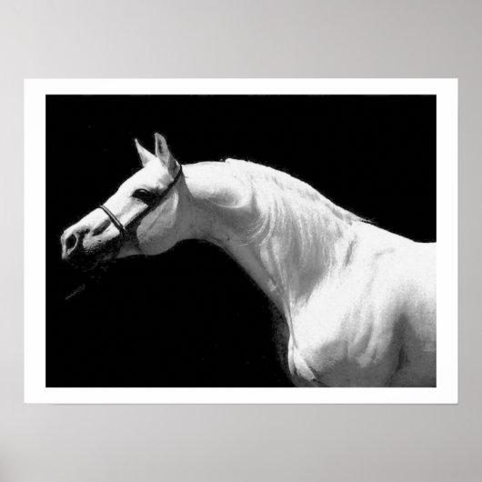 Poster Cheval noir et blanc (Devant)