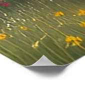 Poster Cheval Noir Majestic Courir (Coin)