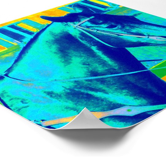 Poster Cheval occidental coloré (Coin)