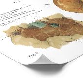 Poster Cheval Organes internes Anatomie Cerveau Estomac G (Coin)