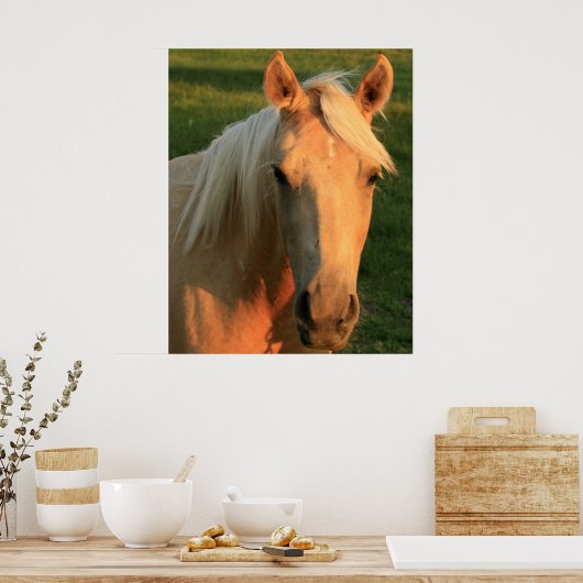 Poster cheval Palomino (Cuisine)
