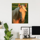 Poster cheval Palomino (Bureau à domicile)