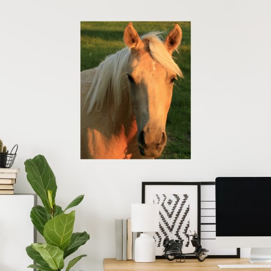 Poster cheval Palomino (Bureau à domicile)