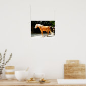Poster Cheval Palomino (Cuisine)