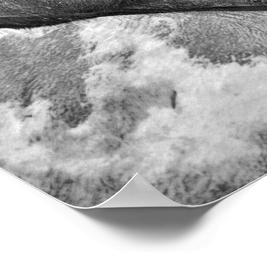 Poster Cheval Pays Noir Et Blanc Style Agricole Rustique (Coin)