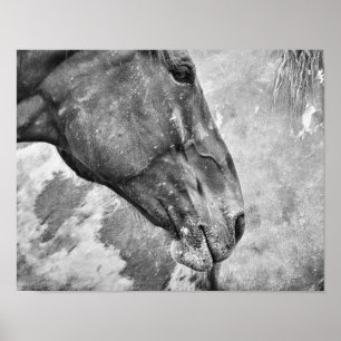 Poster Cheval Pays Noir Et Blanc Style Agricole Rustique