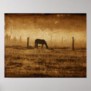 Poster Cheval Pays Texture Vintage rustique Découpage