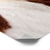 Poster Cheval Pinto mont Moran en hiver (Coin)