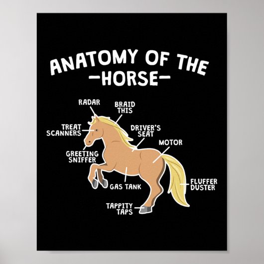 Poster Cheval Pun Anatomie Du Cheval Équitation Équitatio (Devant)