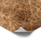 POSTER CHEVAL RACE (Coin)