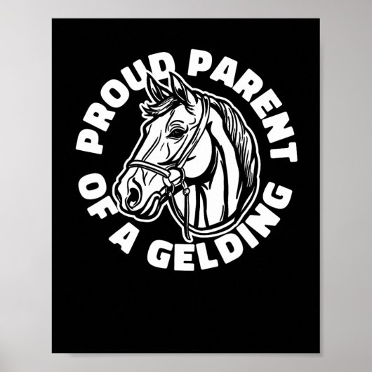 Poster Cheval Rider Gelding - Cheval Équitation Équitatio (Devant)